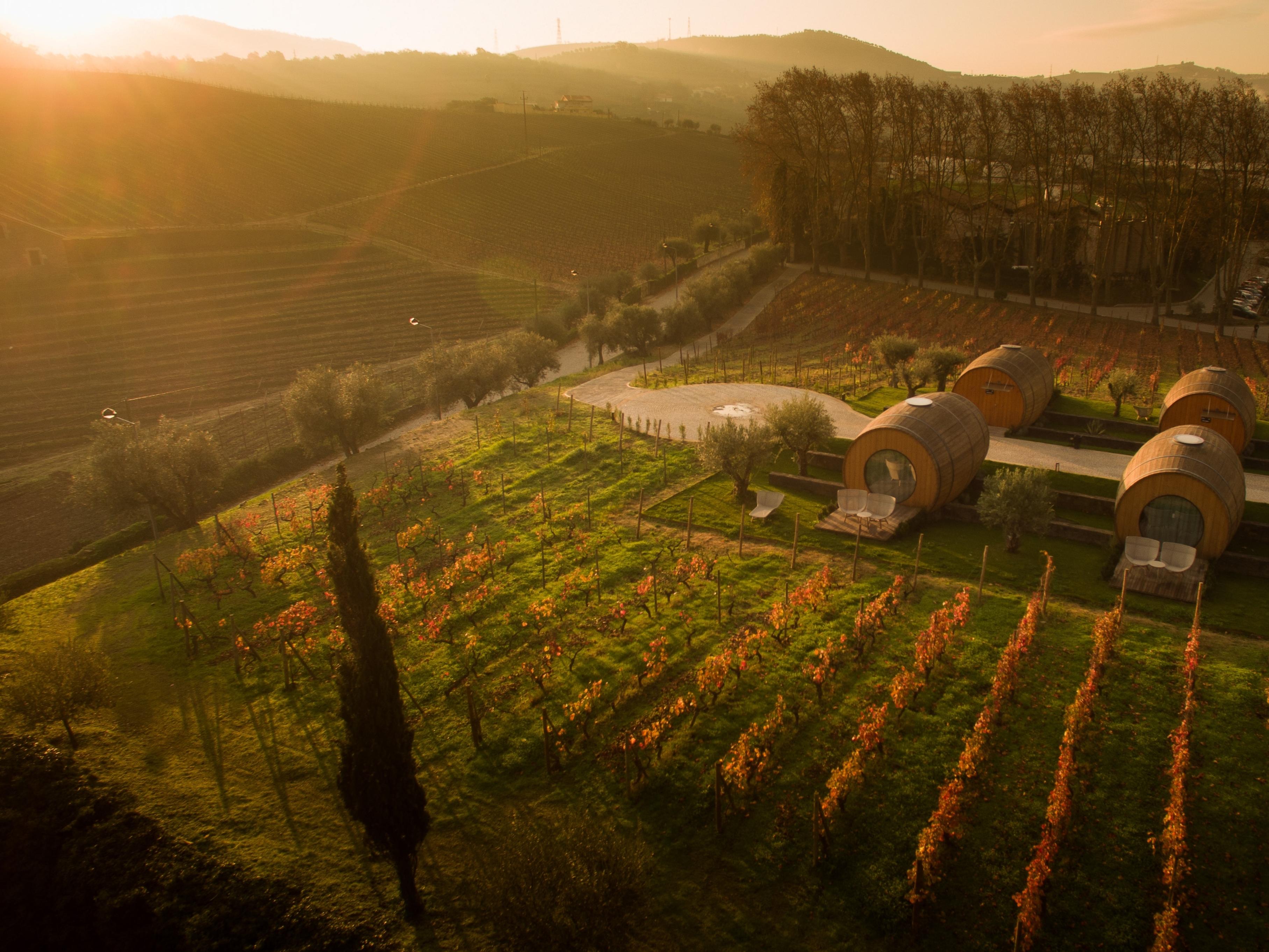 The Wine House Hotel - Quinta Da Pacheca Lamego Zewnętrze zdjęcie