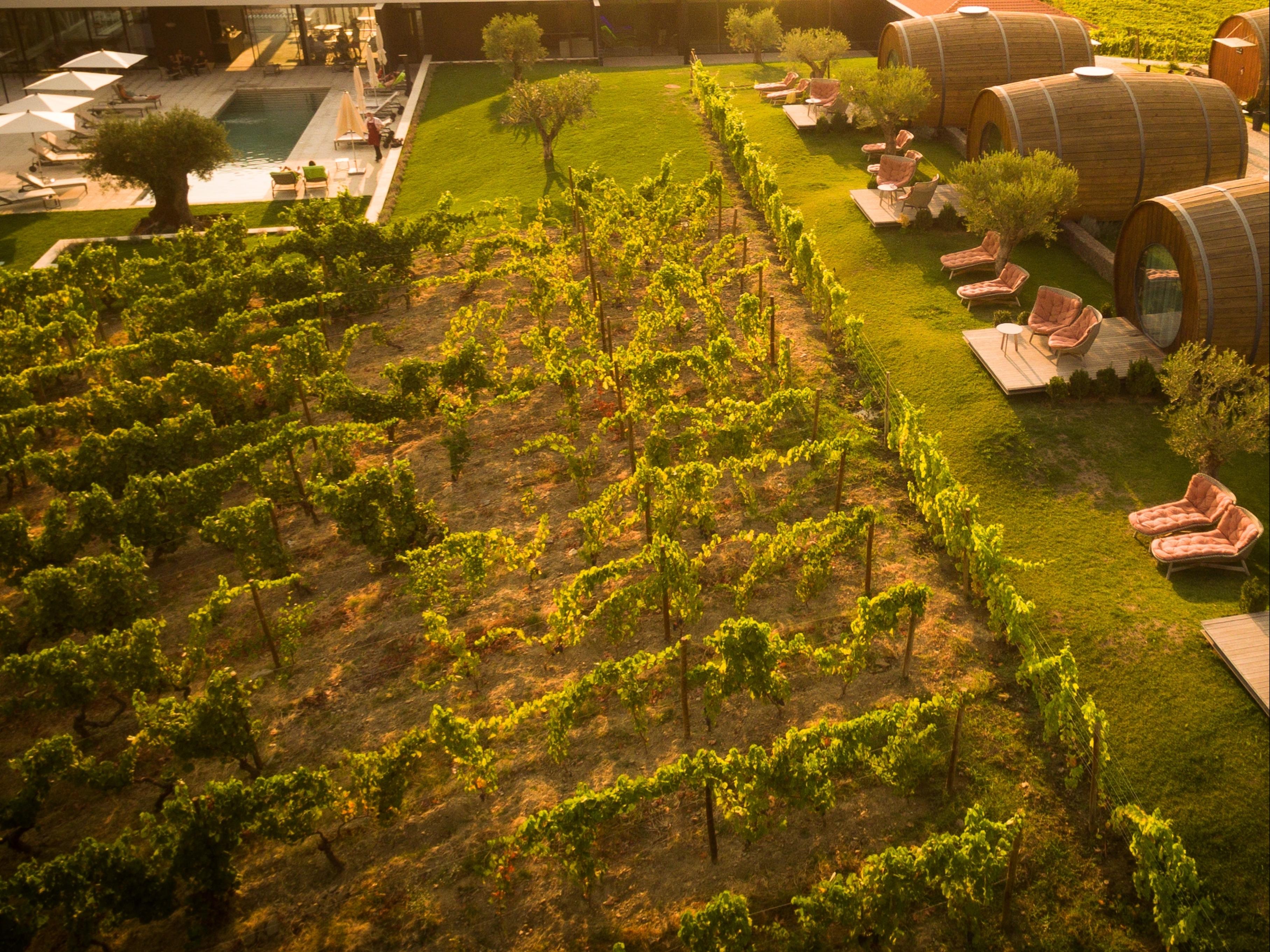 The Wine House Hotel - Quinta Da Pacheca Lamego Zewnętrze zdjęcie