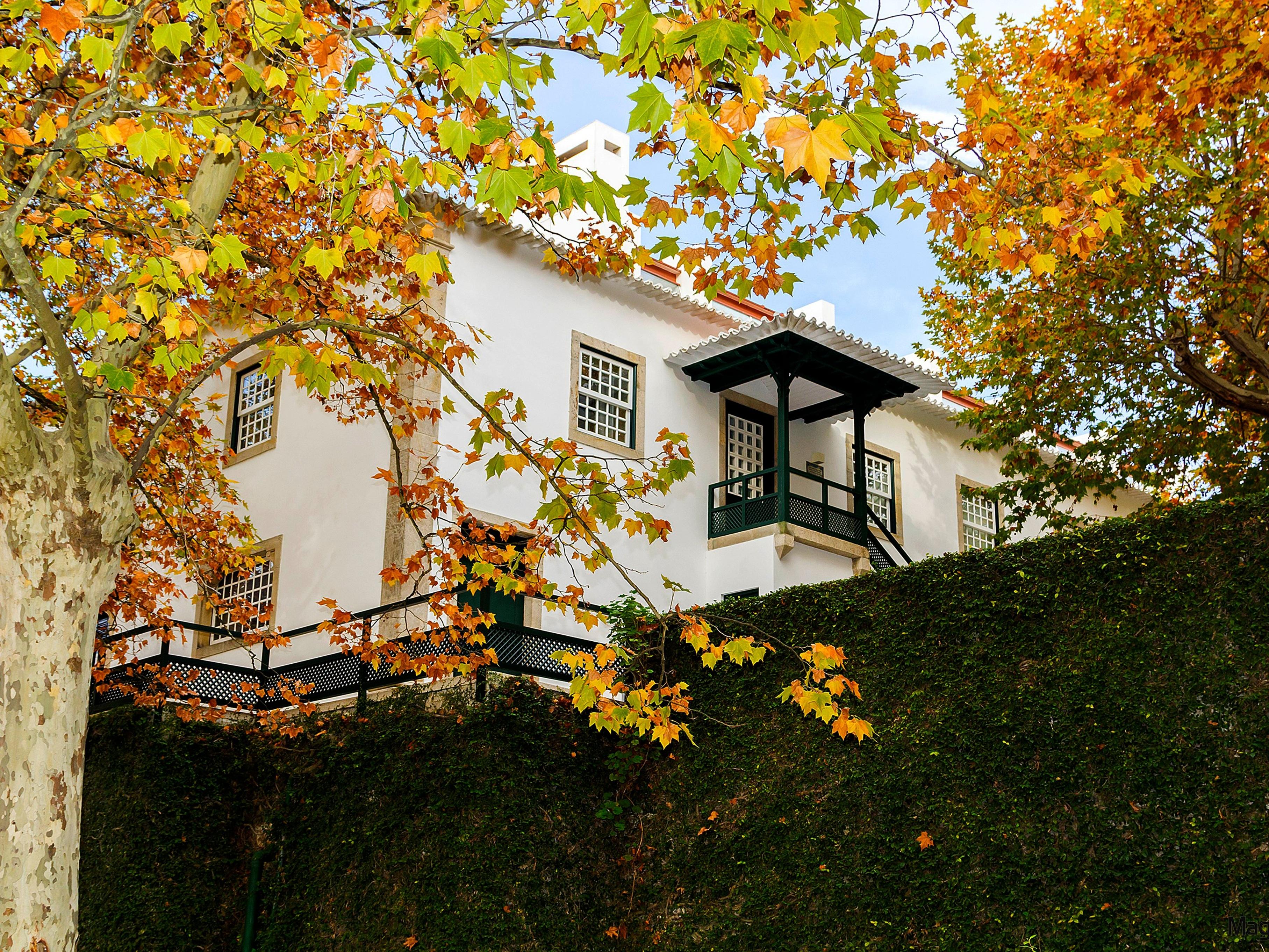 The Wine House Hotel - Quinta Da Pacheca Lamego Zewnętrze zdjęcie