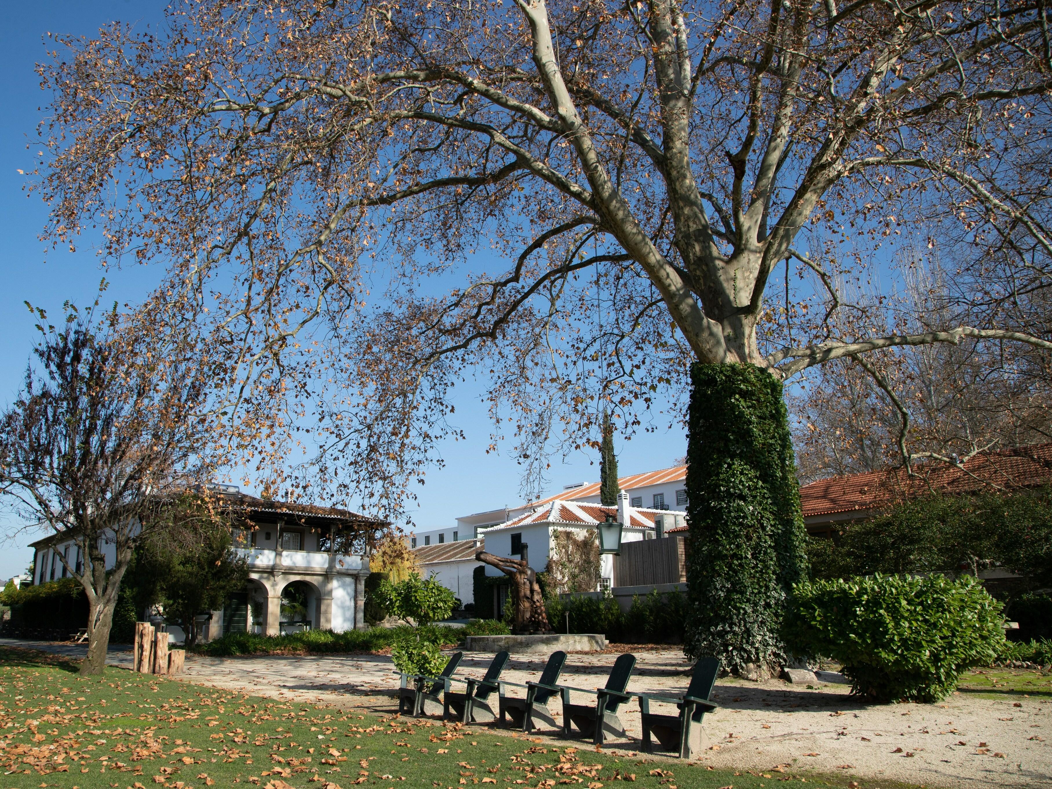 The Wine House Hotel - Quinta Da Pacheca Lamego Zewnętrze zdjęcie