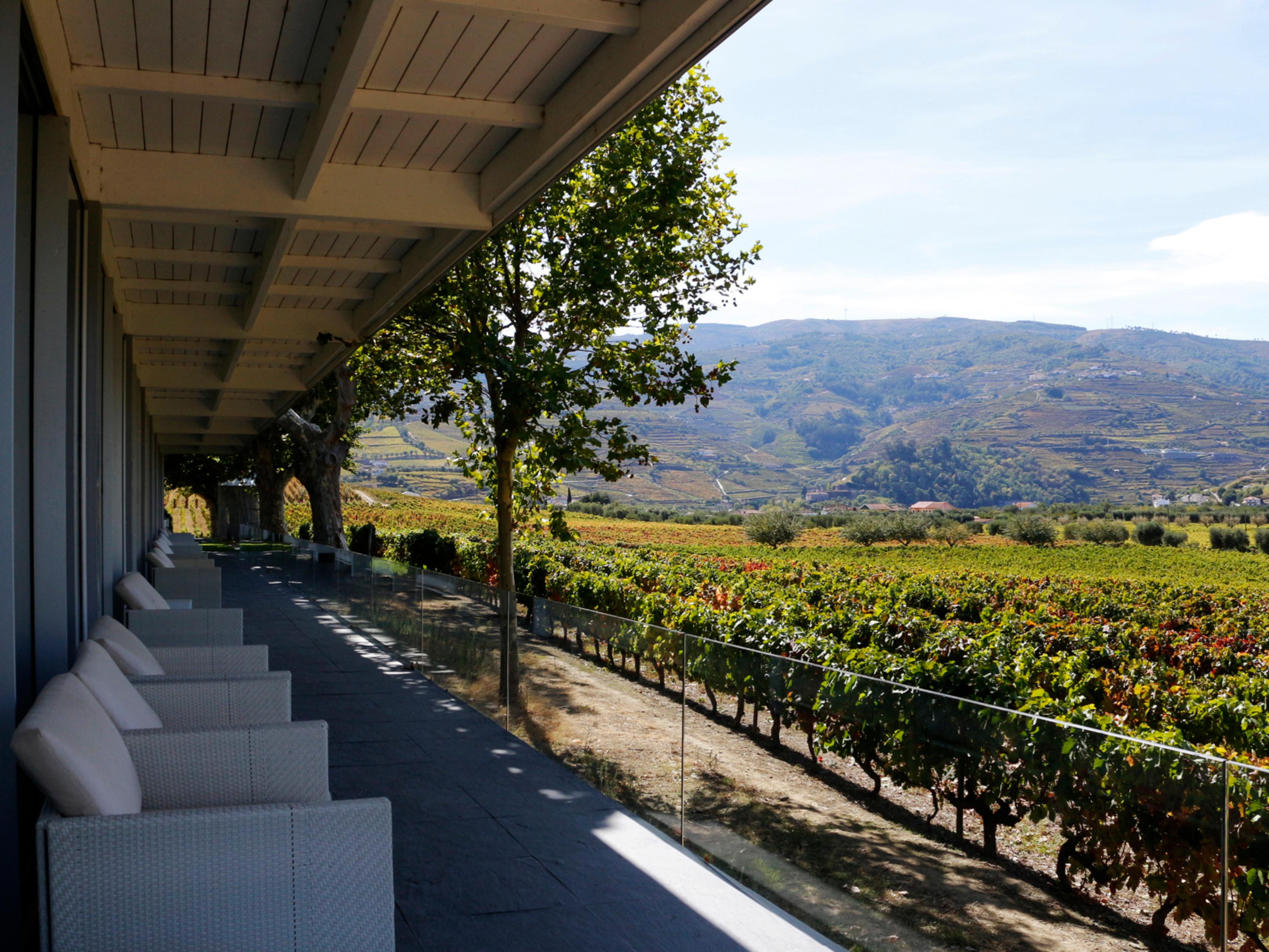 The Wine House Hotel - Quinta Da Pacheca Lamego Zewnętrze zdjęcie